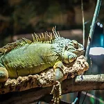 公寓 Im Freizeitpark Weissenhaeuser 维森豪瑟斯坦德