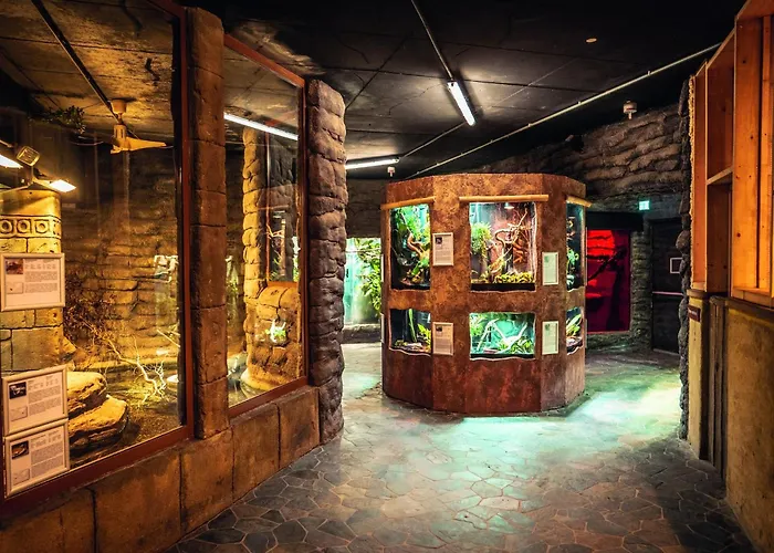 Im Freizeitpark Weissenhaeuser Apartment